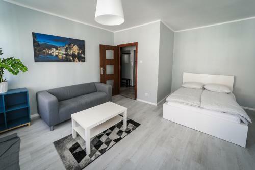 Silver Vision Apartment - Rynek Opole Bagian luar foto